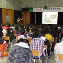 엄정초등학교 이미지