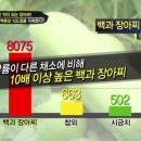 금강바이오텍 이미지