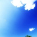 푸른하늘 이미지