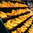 진수마트 이미지