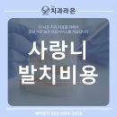 더라은치과의원 이미지