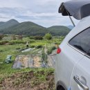 운주산농장 이미지