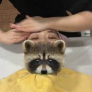 💆🏻‍♀️ 강남역피부관리 에스테틱공간 후기