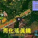 제12호 [MAY'26] 사진예술의 모든 것 가나다법칙 이미지