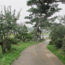 관광농원낚시터 이미지