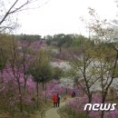 '꽃피는 4월' 걷기 좋은 길…'강릉 해파랑길' 등 10곳 이미지