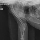 의정부 24시 IU 동물병원 이미지