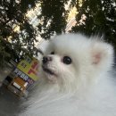 9월의 소원 동물병원 이미지