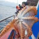 오산항낚시터 이미지