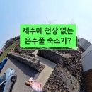 제주스테이 휘움 이미지