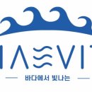 해빛다이브