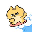 캐러멜리 이미지