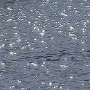 온지스튜디오