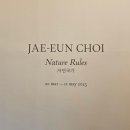 최재은 전시 자연국가 Nature Rules 국제갤러리 k2 k3