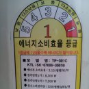 템피아 이미지