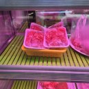 태백생고기 이미지