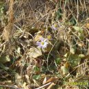 여남초등학교 이미지