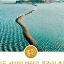 진도신비의바닷길 온라인 축제 네이버블로그