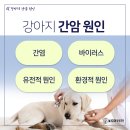 우전화학 이미지