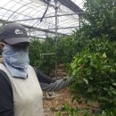 미성민박 이미지