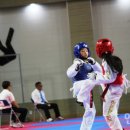 동해태권도체육관 이미지