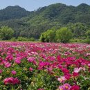 곰바위 앞 이미지