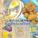 쌍용김여사 | 포항 쌍사 미니붕어빵 맛집 요즘스타일 쫀득붕어빵 내돈내산