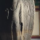 남원 만복사지 석조여래입상 | [전라북도][남원] 만복사지 석조여래입상 (보물 43호)