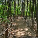 우장산공원길 이미지