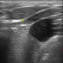 상일 쓰담쓰담 동물병원 이미지