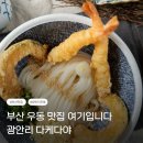 다케다야 | 부산 광안리 우동 맛집 다케다야 솔직 후기 (사누끼 우동 스타일)