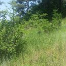 목사동면사무소 이미지