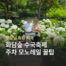 쌍용계곡휴게소자판기 | 가족 나들이 화담숲 수국축제 예약 방법 및 주차 꿀팁 방문 후기