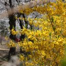 경산파크골프 이미지