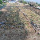 두일농장 이미지