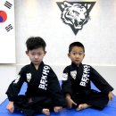 백호합기도 이미지