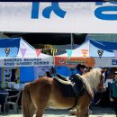 듬뿍농장 이미지