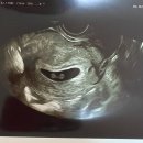 남해수산시장2 이미지