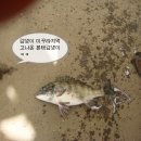 사계절레저 이미지