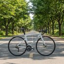 105 | 엘파마 에포카 6 105 로드 자전거 후기 및 놓치면 아쉬운 할인 혜택