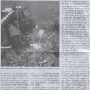 산호기획