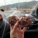 송정대로-23 이미지