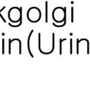 기가솔건강방 이미지