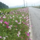 현천3구 이미지