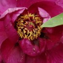 용문 화장실 이미지