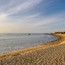 전국 해수욕장 수질과 토양정보 확인은 이렇게! 이미지