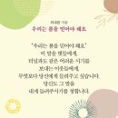 푸디스트(주)가톨릭대학교 김수환관점 | 우리는 봄을 믿어야 해요