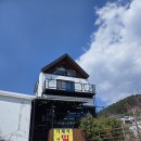 원산진국 이미지