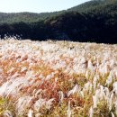 의령남강 이미지