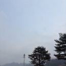 세븐일레븐 원주A도로점 | 아이랑 어디가지? 원주 오크밸리 후기 48평 D동 힐스빌리지